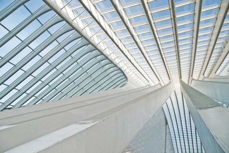 Guillemins