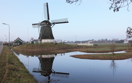 Molen