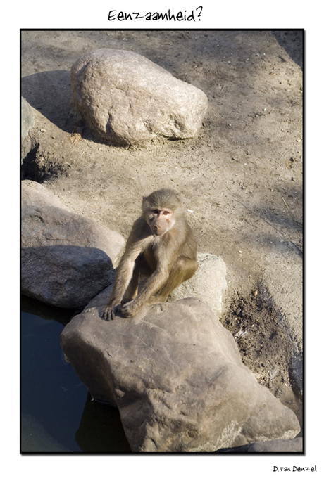 Eenzaamheid?