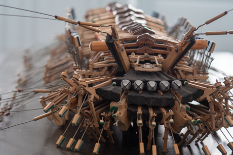 muzikaal insect