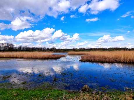 Wolkendek