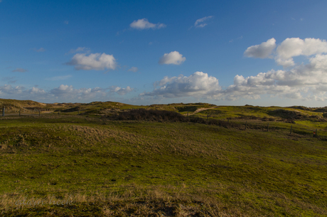 hollands groen