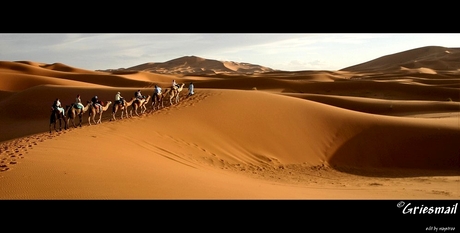 kamelentocht door de Sahara Zuid-Marokko