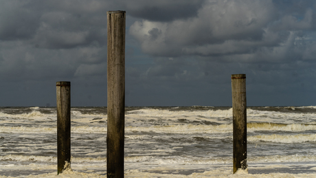 Palendorp Petten