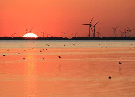 Zonsondergang Harderwijk