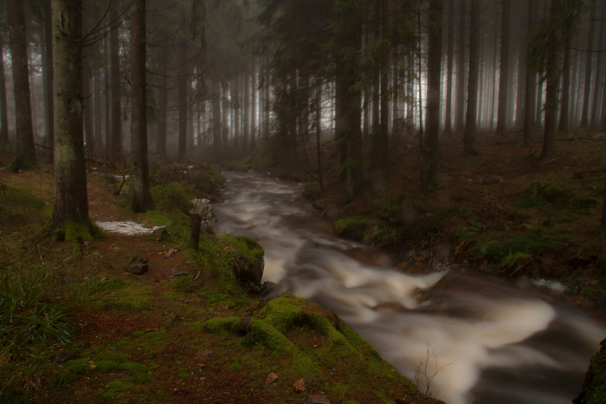 Tros Marets - Riviertje in Ardennen. Tros Marets. Dit is het begin van een hele mooie route om te Hiken. - foto door Manstef op 26-12-2011 - deze foto bevat: ardennen, Hoge venen, tros amrets, hocaki xhoiffraix