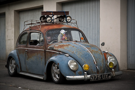 Ratlook Beetle