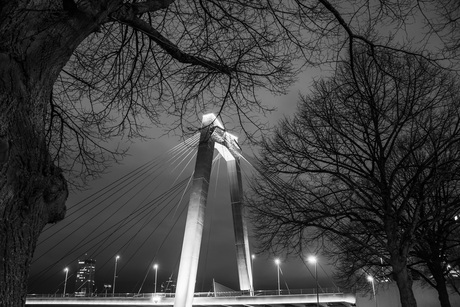 Willemsbrug by Night