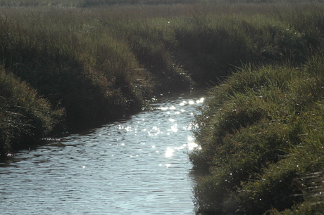 Vakantie_texel0171