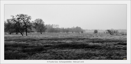 Schaopedobbe - Elsoo - Friesland