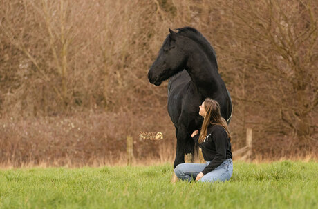 Hengst Timo en Hanne