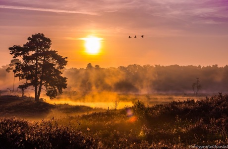 Zonsopkomst in de Hatertse Vennen