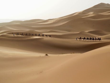 Erg Chebbi woestijn, Marokko