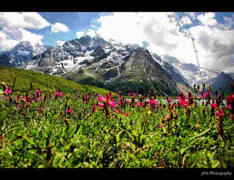 Distant Mountain