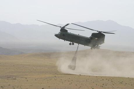 chinook