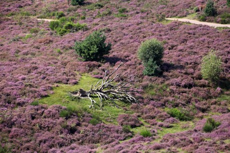 Posbank bij Rheden