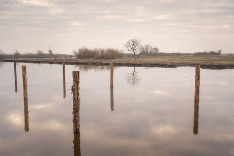 Dutch poles