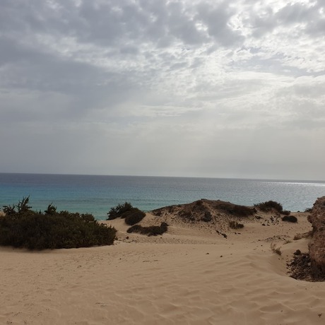 Fuerteventura 2019