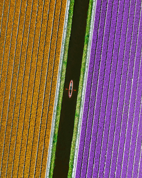 Kayak in de Nederlandse lente