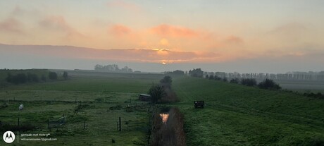 Nog even de hondjes uitlaten......