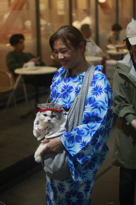 Japanse vrouw met kat