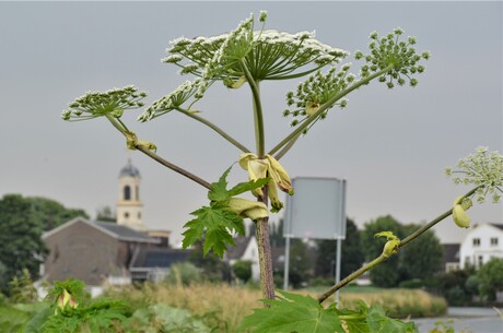 pb kerk overschie