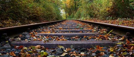 Herfstachtig Spoor