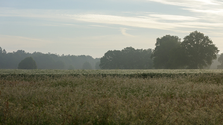 Het Brunsveld