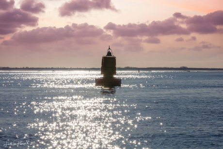 westerschelde