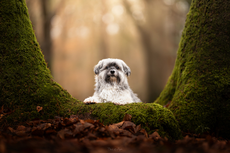 One with nature 🐾