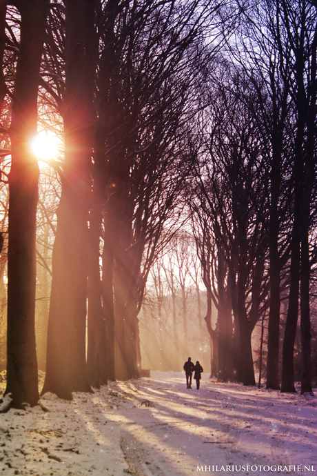 Walking in a winterwonderland