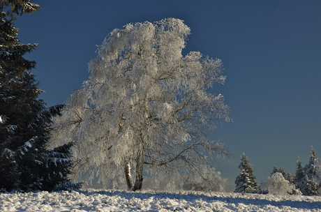 Winterberg