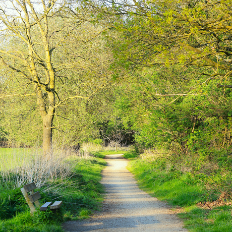 Wandelpad.
