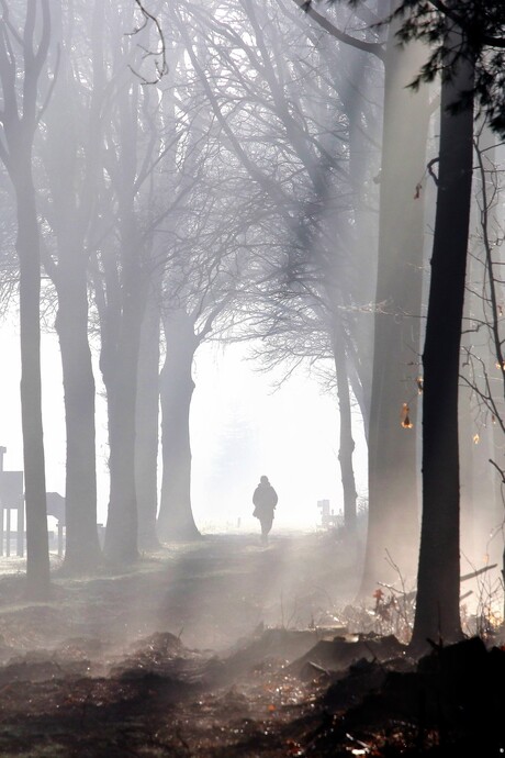 wandelaarster in mooi licht