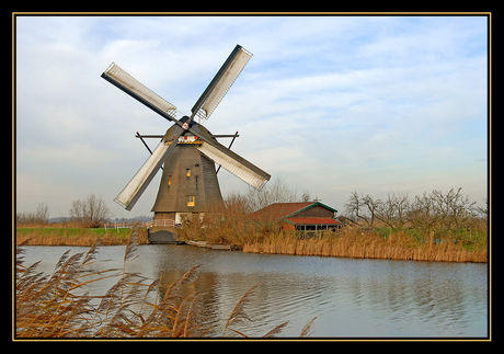 Windmolen Kinderdijk (11)