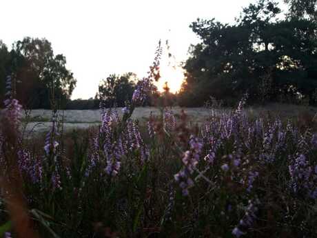 WhatsApp Image 2019-11-29 at 20.28.36