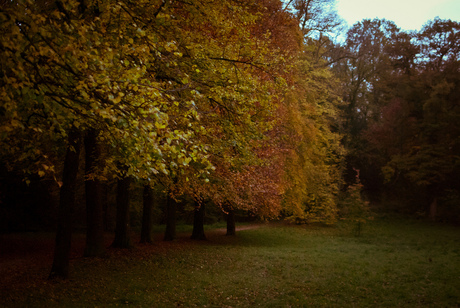 The Colours of Autumn