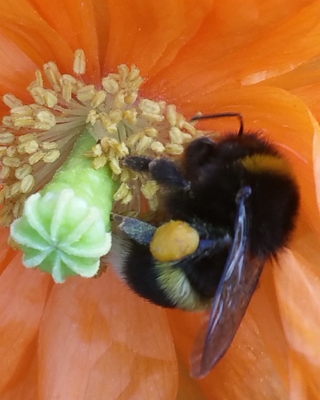 IMG_20170605_075027_889