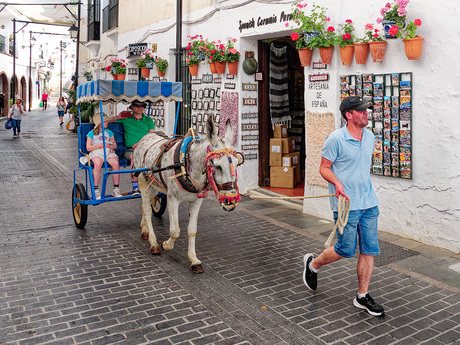 Ezeltaxi in Mijas Spanje