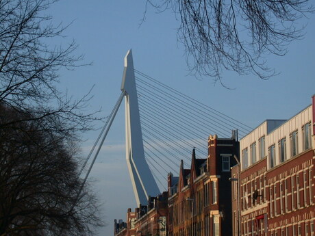 Erasmusbrug