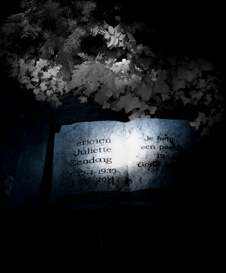 Surreale Ethereal Necrography