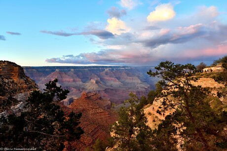 Grand Canyon Glow