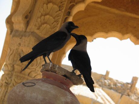 Dansen op andermans graf
