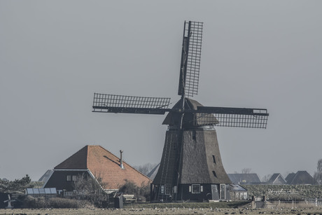 De Harger molen