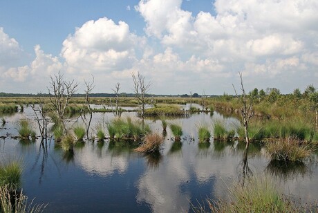 fochtelooerveen