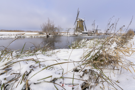 Winter in Kinderdijk