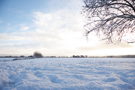 Winter in Drenthe 