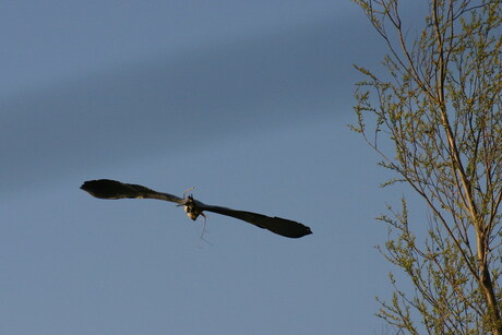 In vogelvlucht