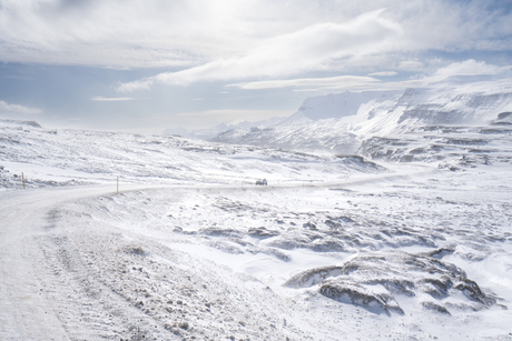 ~White, white world~