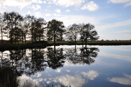 Vennetje bij het Dwingelose veld